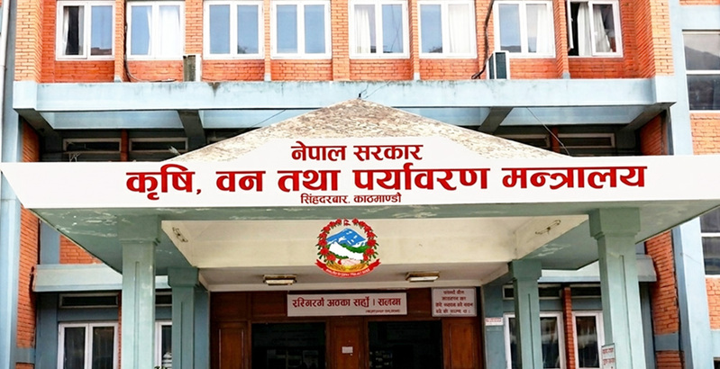 चैते धानको न्यूनतम समर्थन मूल्य कार्यान्वयन गर्न कृषि मन्त्रालयको आग्रह