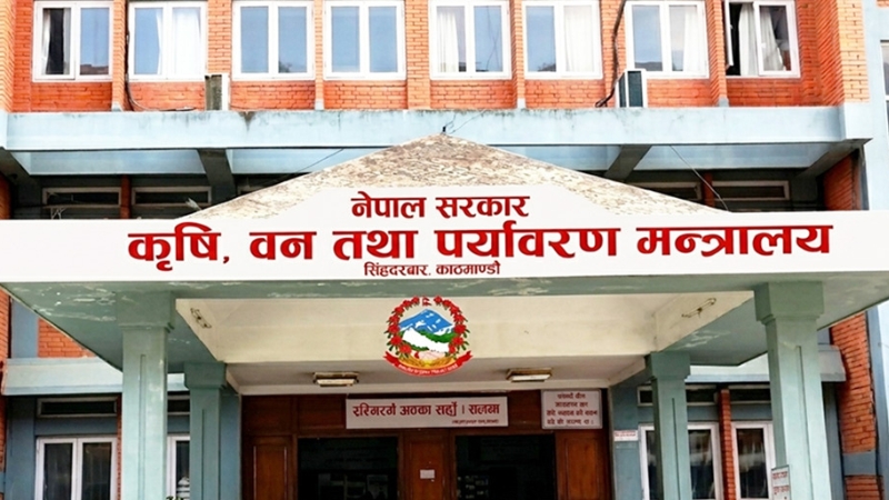 आज १ हजार २५० मेट्रिक टन डिएपी मल आइपुग्दै